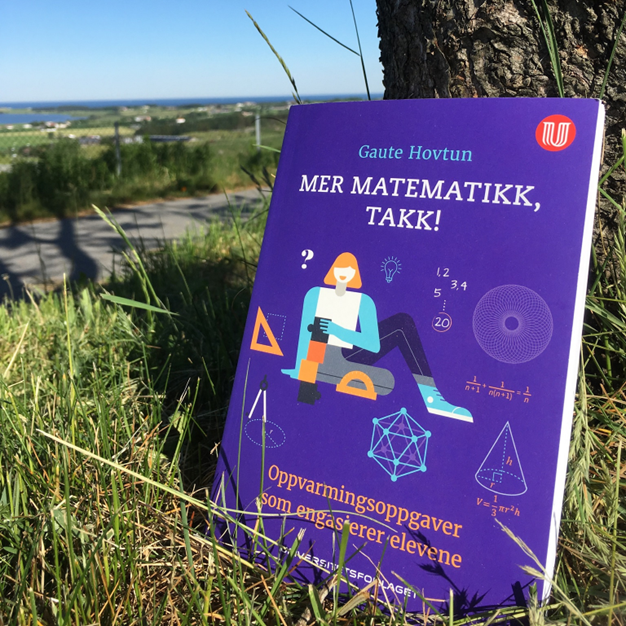 Mer matematikk takk